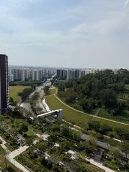 Blk 450A West Terra @ Bukit Batok (Bukit Batok), HDB 2 Rooms #486391821